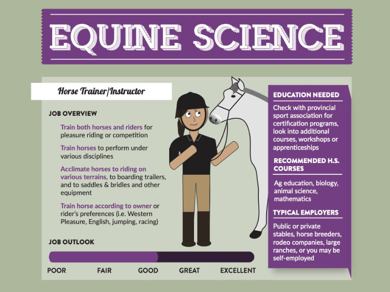 Top Agricultural Careers in Equine Science Equine JobTrack