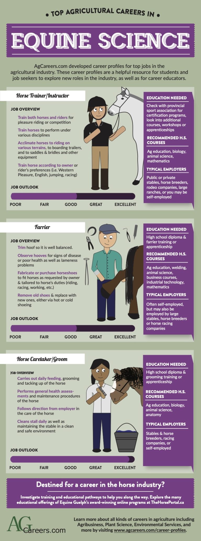 Top Agricultural Careers In Equine Science Equine JobTrack