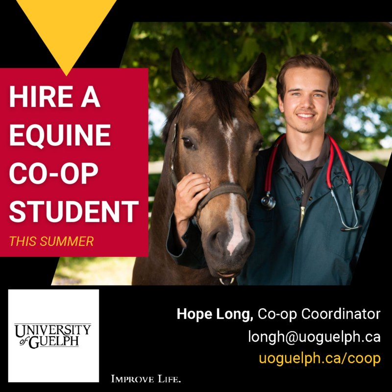 Browse All Jobs Equine JobTrack